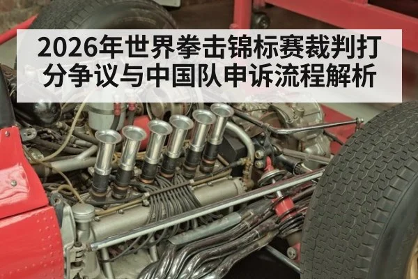 2026年世界拳击锦标赛裁判打分争议与中国队申诉流程解析